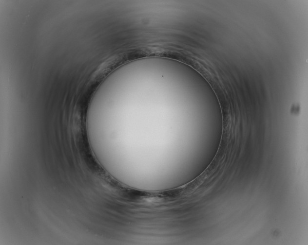 X0000091500220200708161240