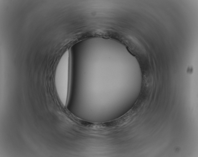 X0000091500223200708161240