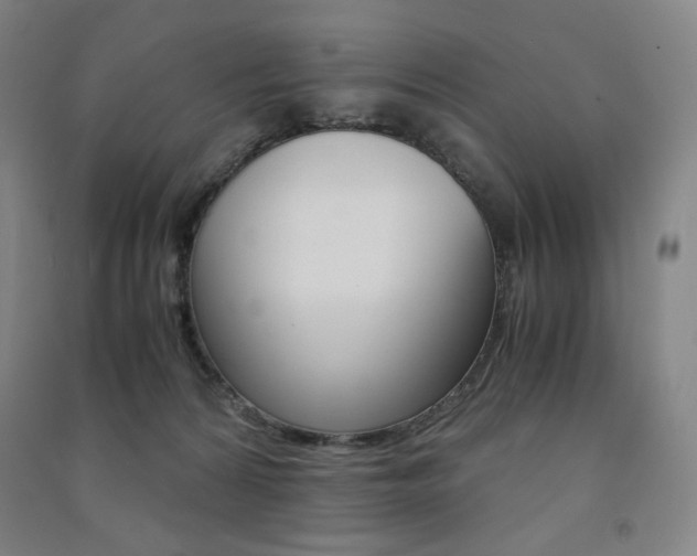 X0000091500224200708161240