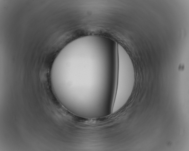X0000091500225200708161240