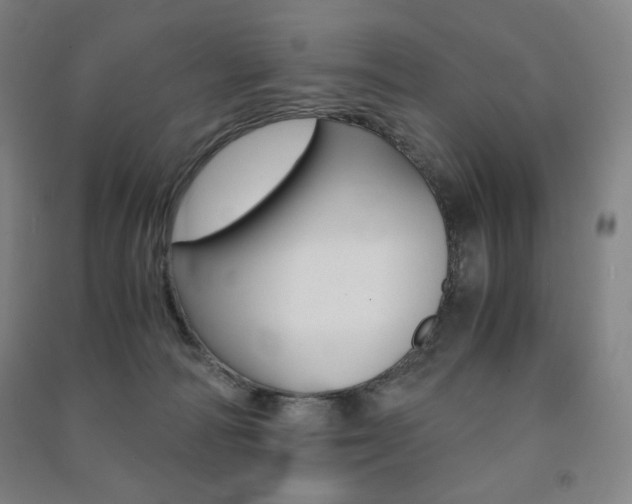 X0000091500226200708161240