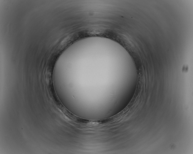 X0000091500227200708161240