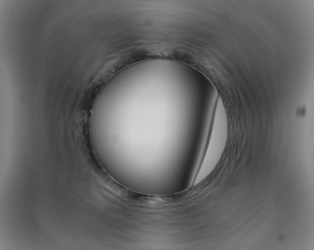 X0000091500229200708161240