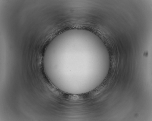 X0000091500230200708161240