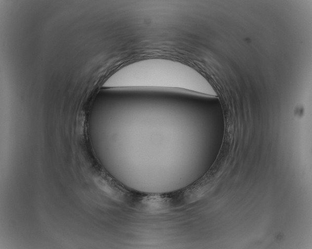 X0000091500231200708161240
