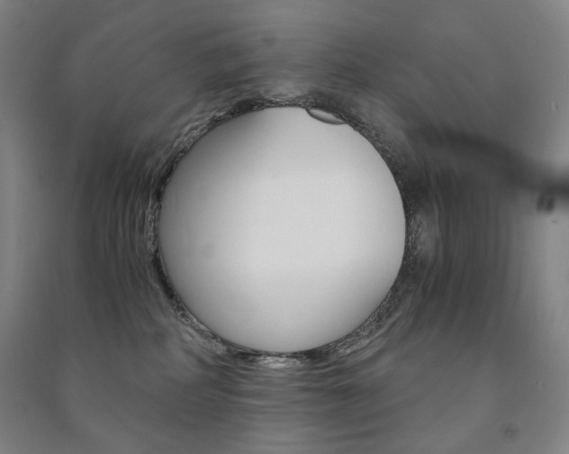 X0000091500234200708161240