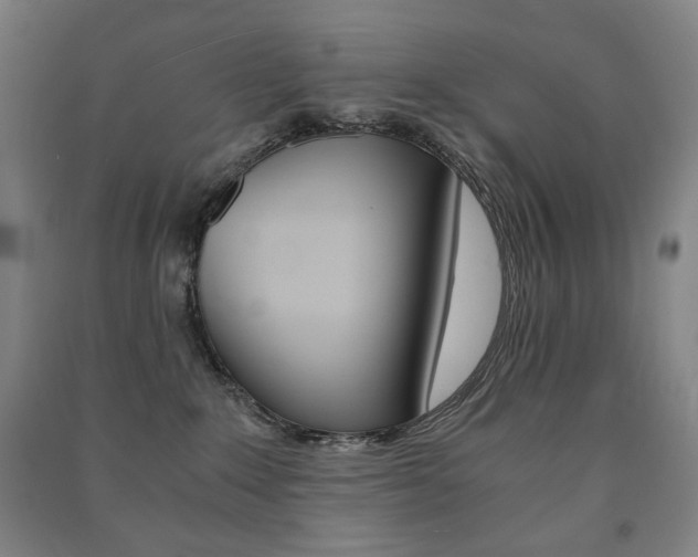 X0000091500235200708161240