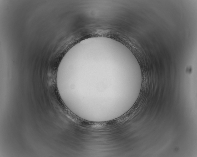 X0000091500236200708161240