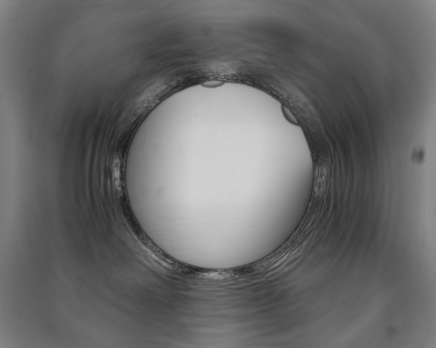 X0000091500238200708161240