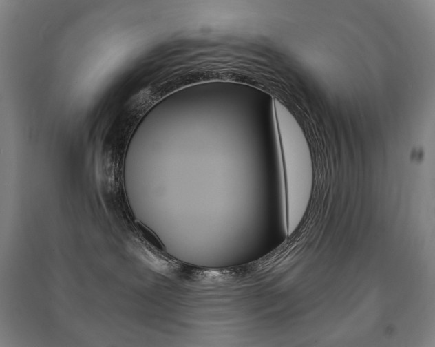 X0000091500239200708161240