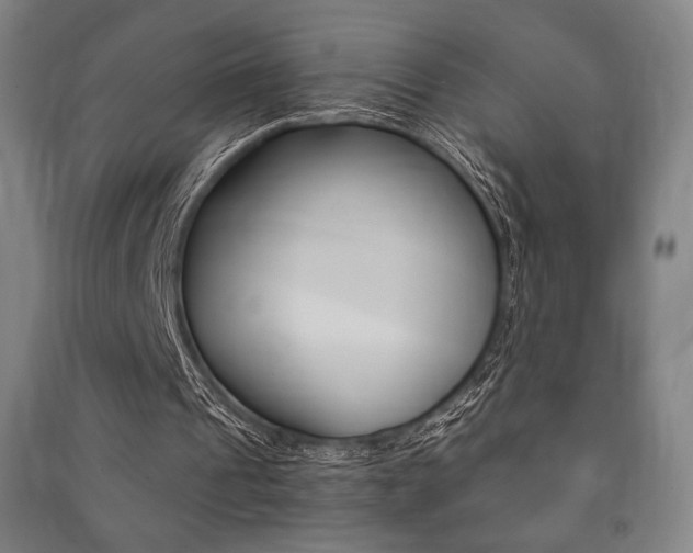 X0000091500241200708161239