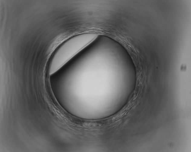 X0000091500242200708161239