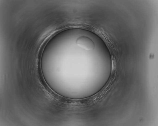 X0000091500243200708161240
