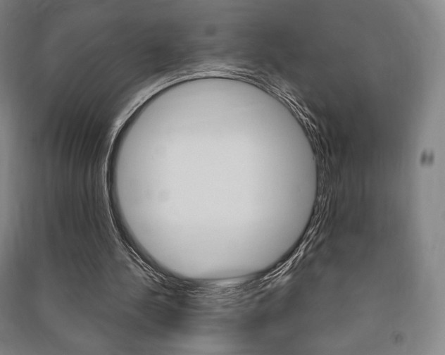 X0000091500244200708161240