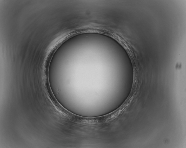 X0000091500245200708161240