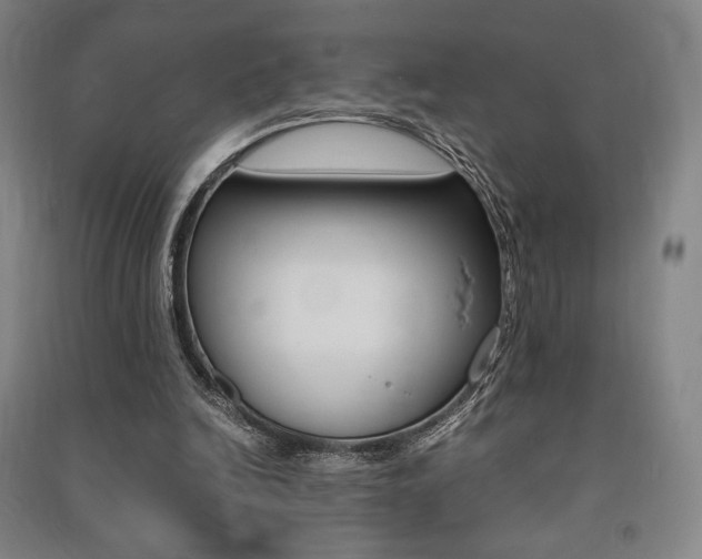 X0000091500246200708161240