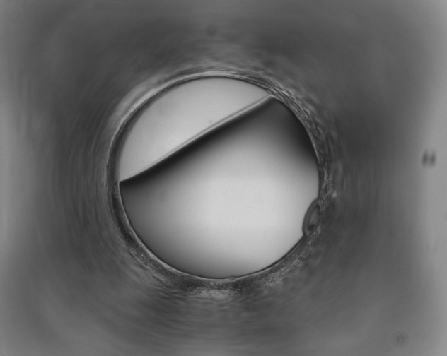 X0000091500247200708161240