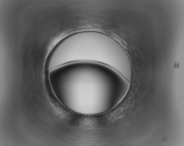X0000091500248200708161240