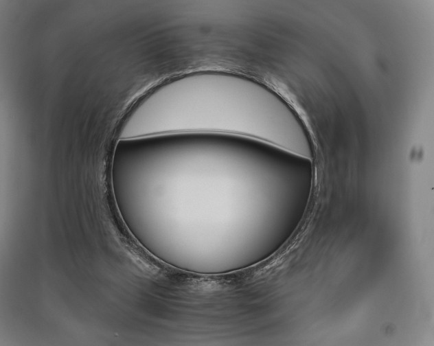X0000091500249200708161240