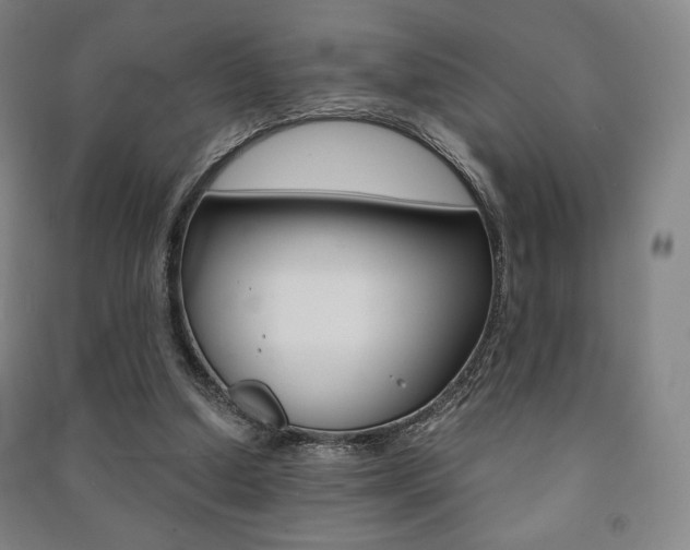 X0000091500250200708161240