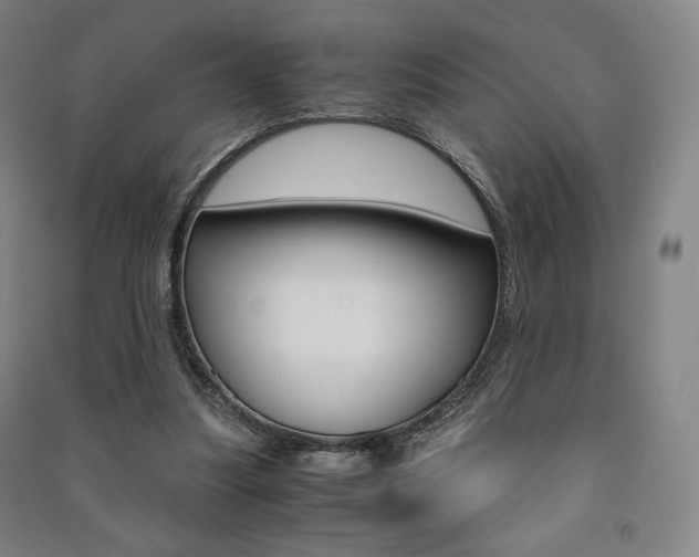 X0000091500251200708161240
