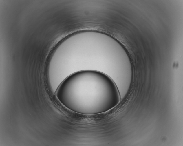 X0000091500252200708161240