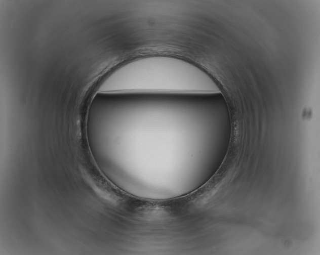 X0000091500254200708161240