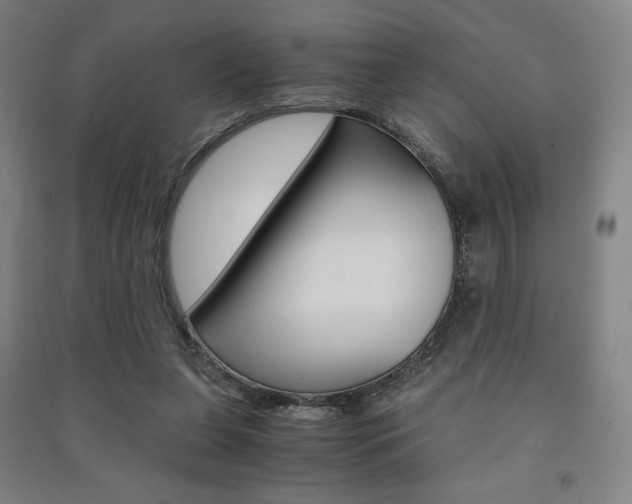 X0000091500255200708161240