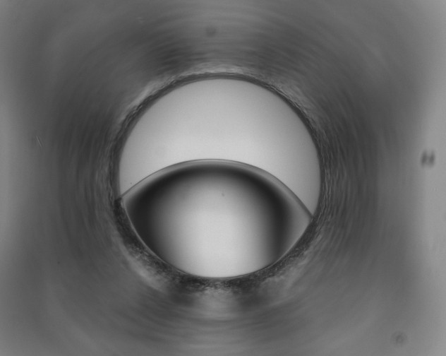 X0000091500256200708161240