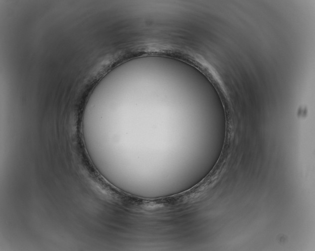 X0000091500257200708161240