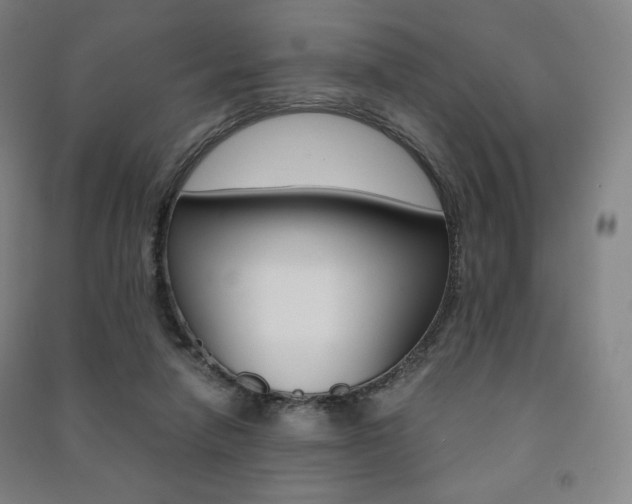 X0000091500258200708161240