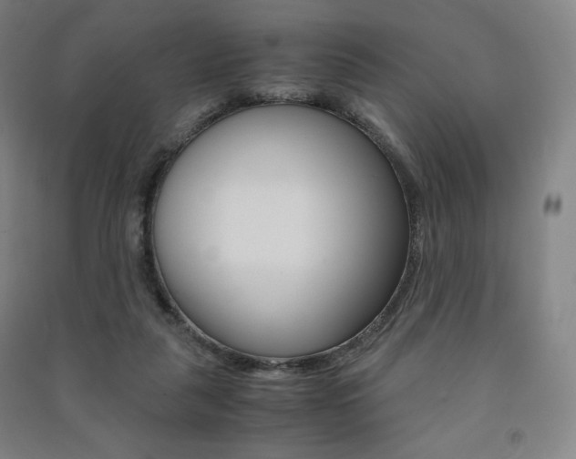 X0000091500259200708161240