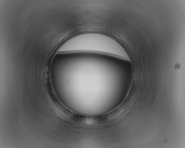 X0000091500264200708161240
