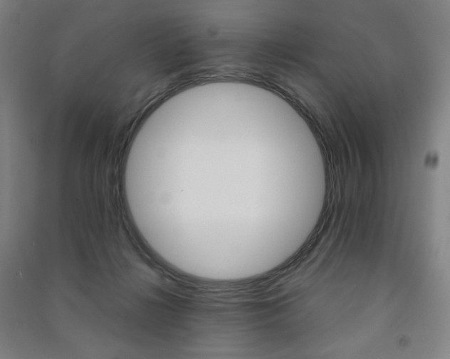 X0000091500268200708161240