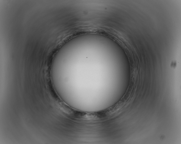 X0000091500270200708161240