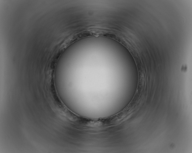 X0000091500271200708161240