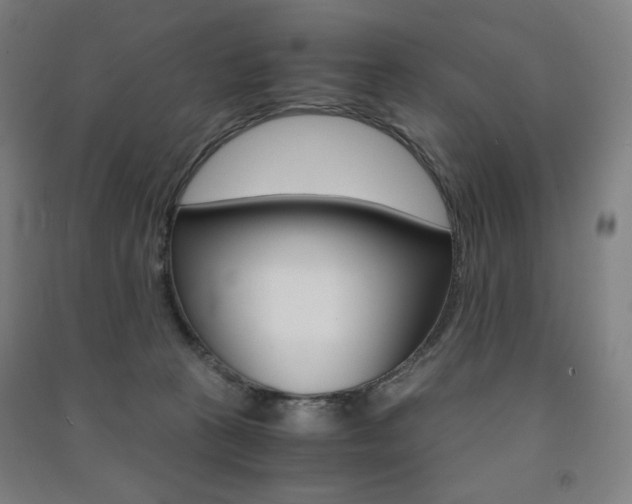 X0000091500273200708161240