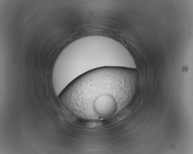 X0000091500274200708161240