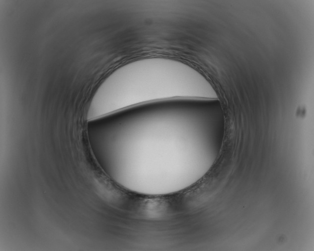 X0000091500275200708161240
