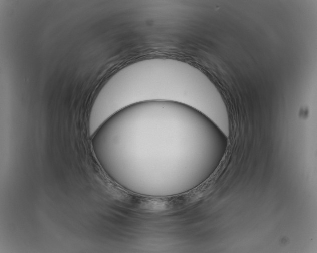 X0000091500276200708161240