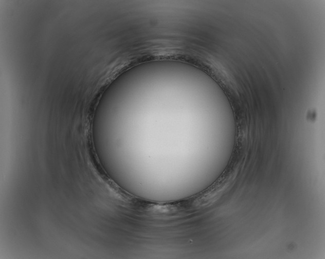 X0000091500277200708161240