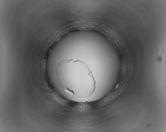 X0000091500278200708161240