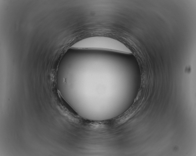 X0000091500284200708161240