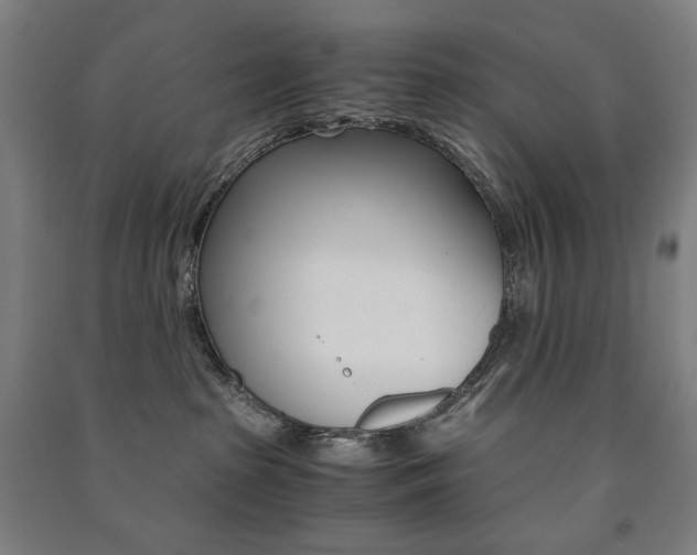 X0000091500285200708161240