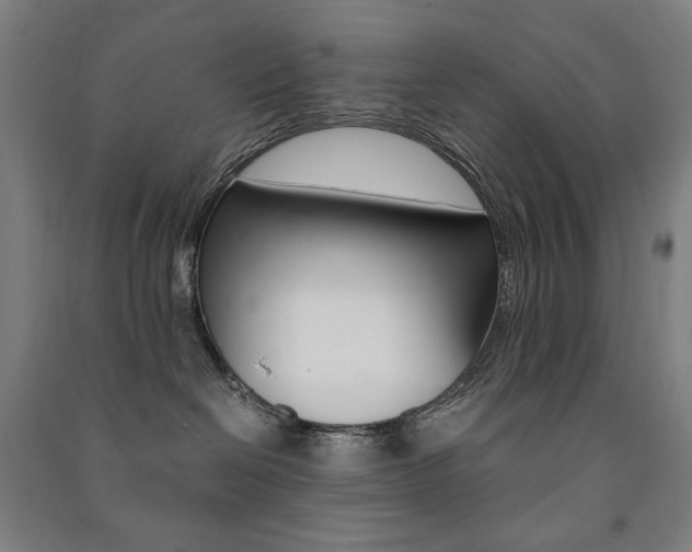 X0000091500286200708161240