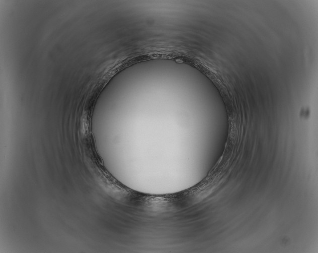 X0000091500287200708161240
