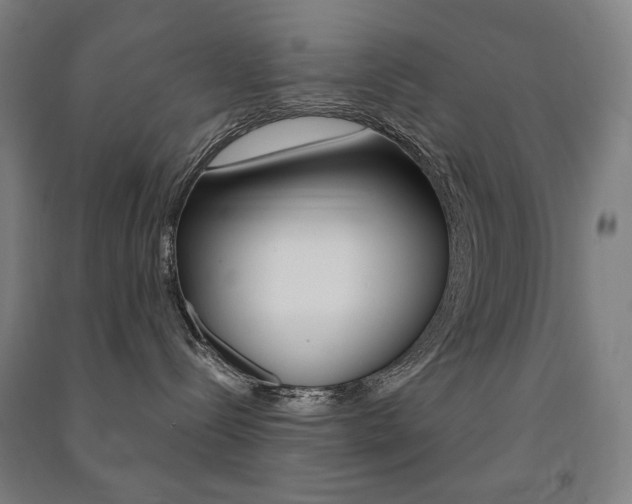 X0000091500288200708161240