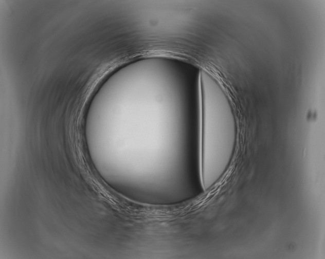X0000091500289200708161239