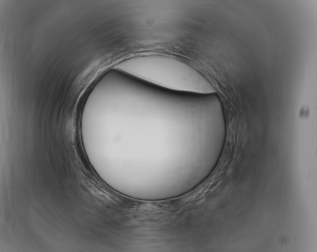X0000091500290200708161239