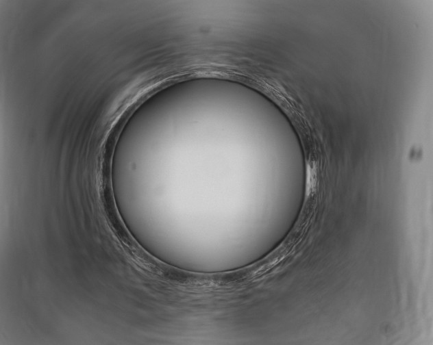 X0000091500291200708161239